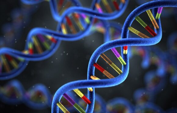 Πρωτεΐνη και θερμογένεση: πόσο αυξάνει πραγματικά την ενεργειακή δαπάνη;